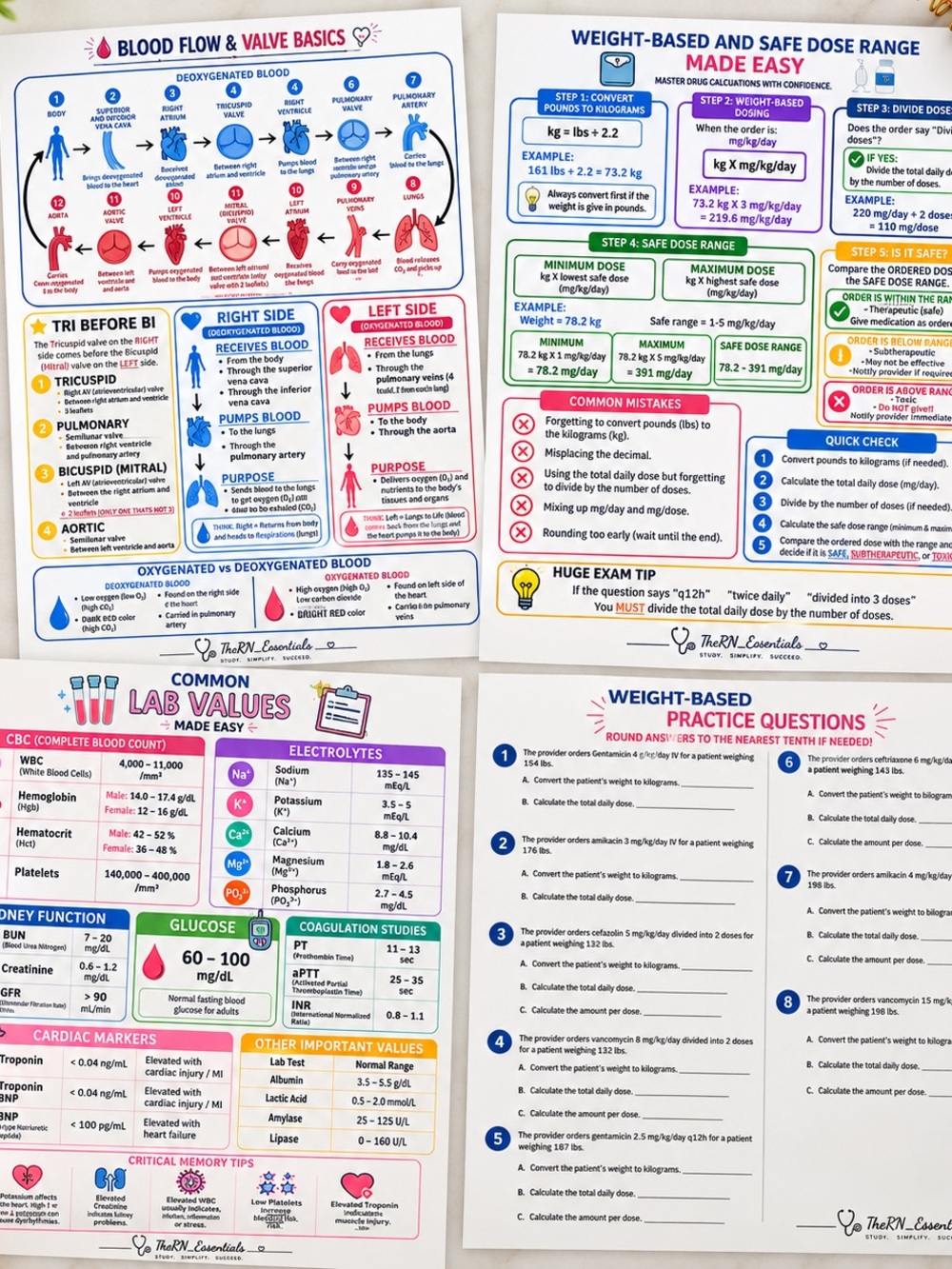 Nursing Study Sheets with 17 topics (made by a senior nursing student)